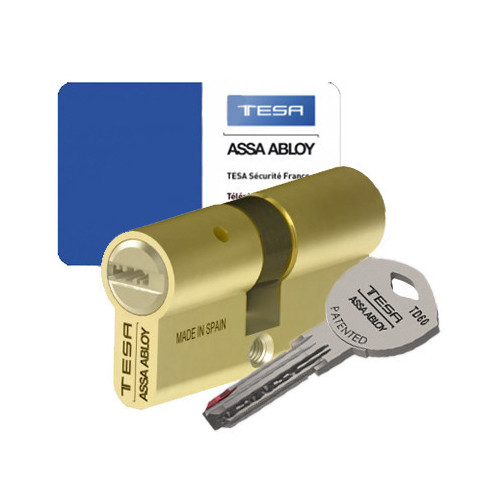 Cylindre double entrée Laitonné TD60 - TESA