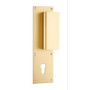 Poignée de porte palière aileron BASTILLE - ASSA ABLOY BEZAULT