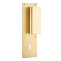 Poignée de porte palière aileron BASTILLE - ASSA ABLOY BEZAULT