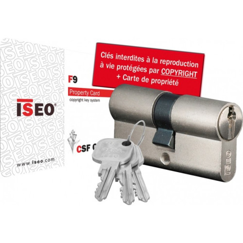 Cylindre de serrure ISEO F9 à 2 entrées de clé